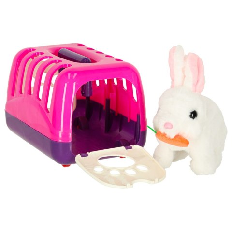 Królik króliczek z marchewką pluszowy chodzi rusza uszami