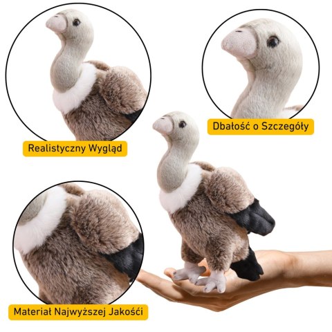 Pluszowy Sęp Ptak Pluszak Maskotka Przytulanka 25cm